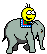 elefant2.gif
elefant2.gif